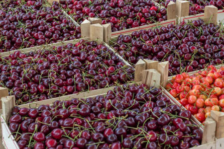 Farmers market organic cherrys in a wooden crates. At the farmers market local growers come and sell their freshly picked crops at reasonable prices. Selective focus.の写真素材