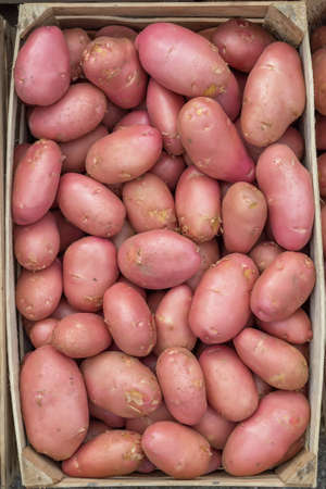 Farmers market red potatoes in a wooden crate background. At the farmers market local growers come and sell their freshly picked crops at reasonable prices.の写真素材