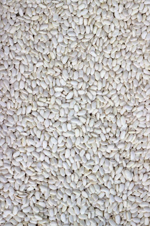 Farmers market white beans background. At the farmers market local growers come and sell their...