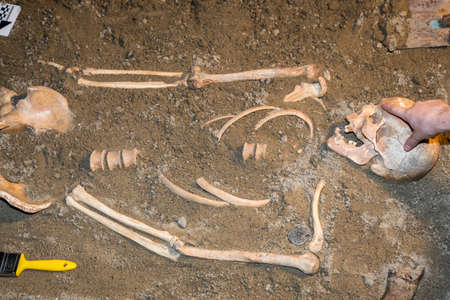 Human remains in sand. Archaeological excavation and forensics. Made with selective focus.の写真素材