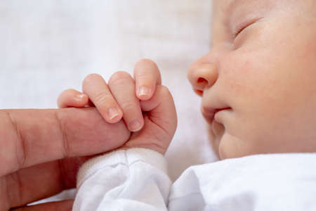 Sleeping baby holding the mother finger, maternity concept.の写真素材