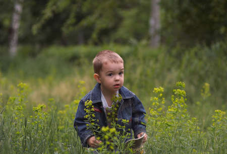 my nephew runs on a grass in park of city Ust-Kamenogorskの写真素材