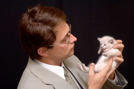 kittenの写真素材