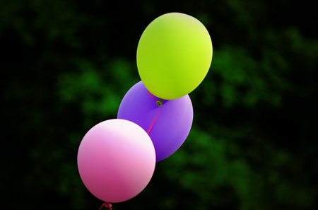 colorful balloons in a gardenの写真素材