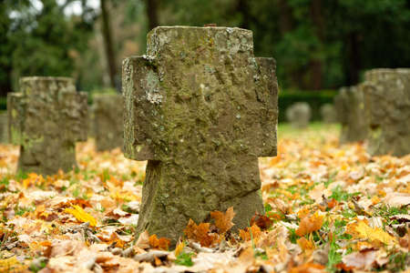 stone crosses amid colorful autumn leaves at a soldiers' cemetery in germanyの写真素材