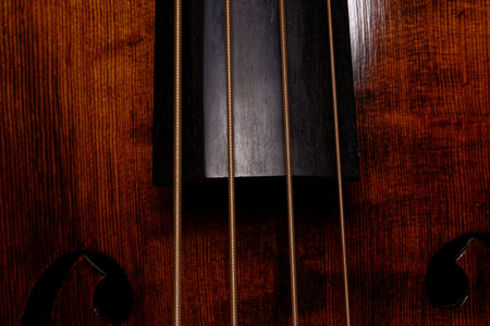 close-up of the four strings and the fingerboard of a double bassの写真素材