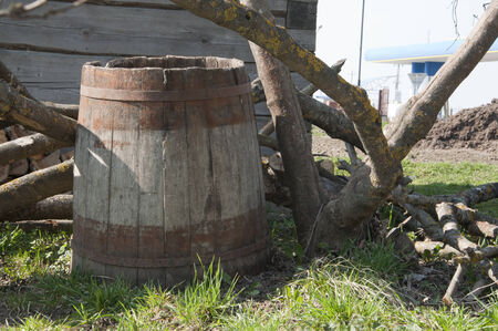 old wooden barrel under a tree by the wallの写真素材