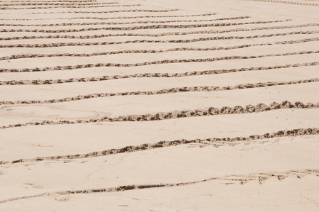 many level traces of wheels in the sand