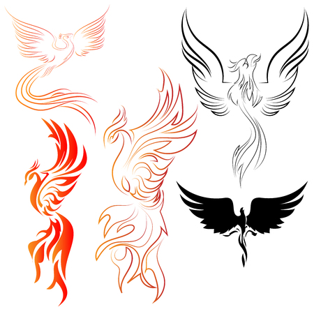 Set of Phoenix birds line art and abstract designs with fire colors and black silhouettes vector designsのイラスト素材