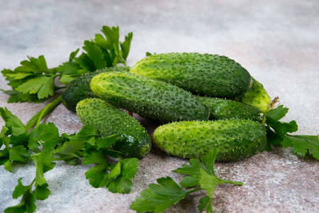 Fresh garden organic cucumbers and sprigs of parsley lie on a concrete background. Horizontal photo
