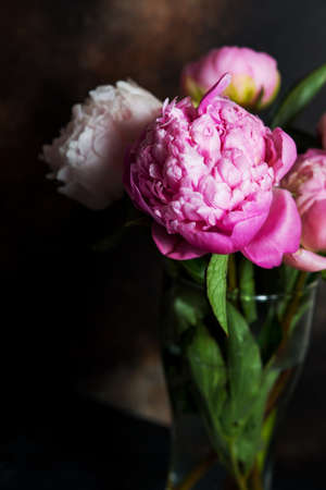 A bouquet of pink peonies stands on a dark background. Creative picture for Wallpaper and interior.の写真素材