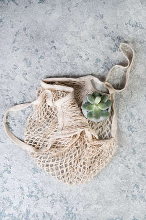 An eco-friendly shopping bag with a home flower, succulent, lies on a concrete light background. Top...