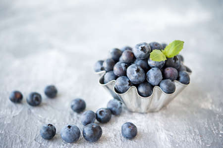Fresh seasonal blueberries in a tin Cupの写真素材