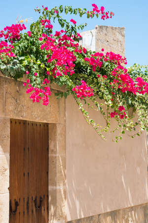 Beautiful Spanish streets with flowers growing on the walls, Spainの写真素材