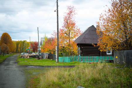 Autumn landscape, Golden trees and wooden old house, rural areaの写真素材