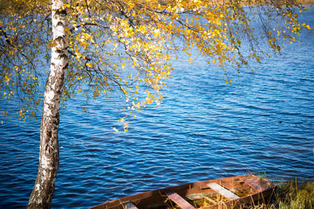 Old wooden boat in autumn Park, trees, fallen leaves and pond