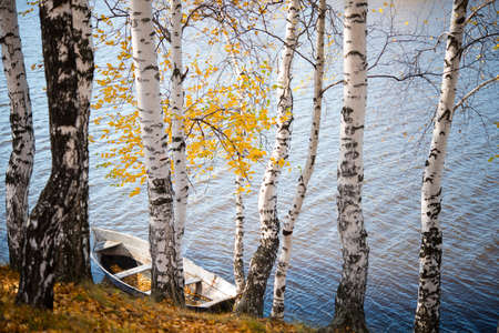 Old wooden boat in autumn Park, trees, fallen leaves and pondの写真素材