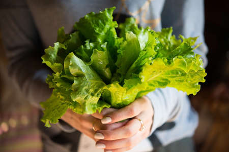 Fresh garden green salad in hand, vegetarian foodの写真素材