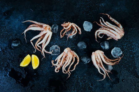 Raw fresh squid tentacles on a black concrete background, top viewの写真素材