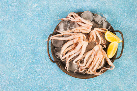 Raw fresh squid tentacles on a blue concrete backgroundの写真素材