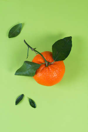 Juicy summer tangerine with leaves on a colored green background, flat layの写真素材