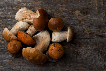Seasonal forest porcini mushrooms on rustic background, copy spaceの写真素材