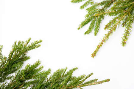 Christmas white background with a spruce branch, flat lay, top view, copy space