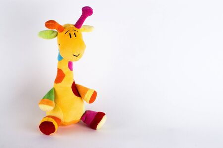 Colour giraffe on a white backgroundの写真素材