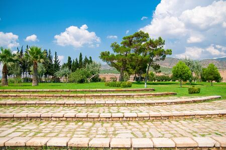 beautiful summer  park in a blue clear skyの写真素材