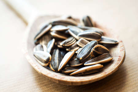 sunflower seeds in a wooden spoonの写真素材
