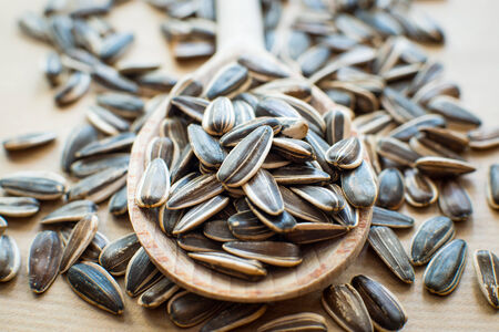 sunflower seeds in a wooden spoonの写真素材