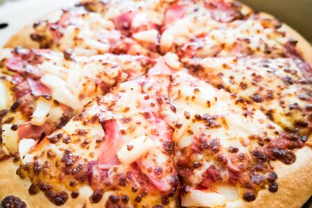 tasty delicious cheese pizza in portionsの写真素材