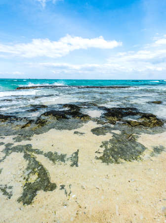 stony seashore and clear turquoise ocean water with blue sky on the backgroundの写真素材
