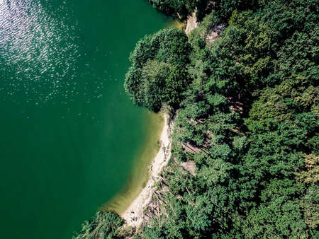 lush green forest on the bank of a lake, top view, aerial photoの写真素材