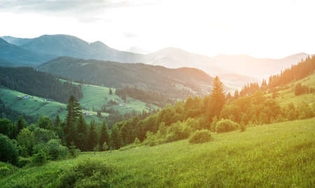 Scenic mountain landscape, summer green meadow