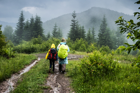 Back view of two hikers man and teenager in raincoats with backpacks walking on forest trail in the fog.の写真素材