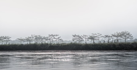 beautiful view of Chitwan national park landscape with river and trees, Neplal.の写真素材