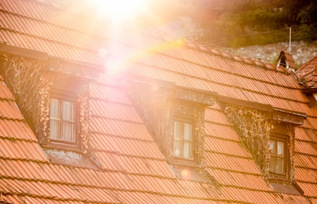 Side view of old roof covered with brown tiles and windows overgrown with branches of leavesの写真素材