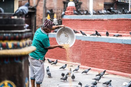 Kathmandu, Nepal - 06 October 2017: Old Nepalese man feeding pigeons with corn seeds in Durbar Square, Kathmandu, Nepalのeditorial素材