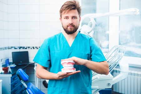 Dentist in blue uniform holding teeth modelの写真素材