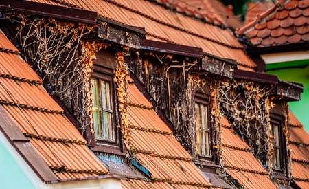 Side view of old roof covered with brown tiles and windows overgrown with branches of leavesの写真素材