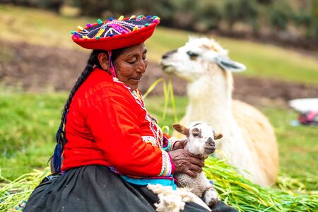 Cucso, Peru - 12 october 2018: Woman in national clothes with little white lambs in Peruのeditorial素材