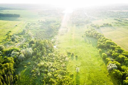 Green trees and meadow in sinrise, aerial viewの写真素材