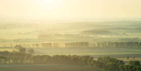 Landscape of yellow fields and green trees among covered with fog