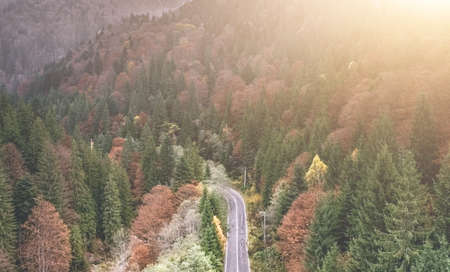 Paved road going through mountain forest