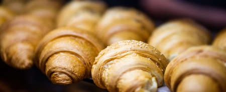 Close up view of tasty croissants sprinkled with sesameの写真素材