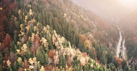 Paved road going through mountain forestの写真素材