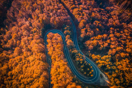 Aerial view of Transfagarasan road at autumn forest