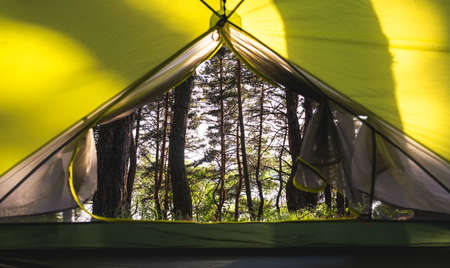 Beautiful morning view on forest with sunlight from tent in camping. Vacation in the wood at summer timeの写真素材