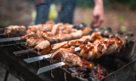 Barbecue at the nature